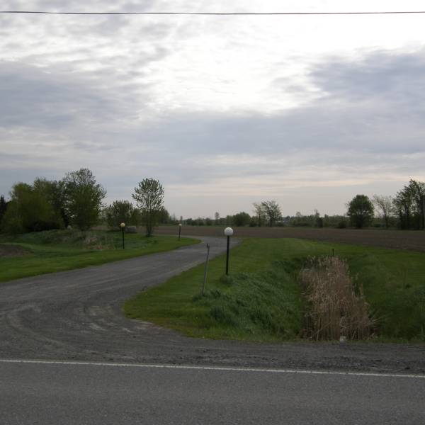 2 Monkeys' Breakfast