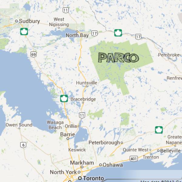 COSTA EST - Algonquin Provincial Park, il selvaggio Ontario