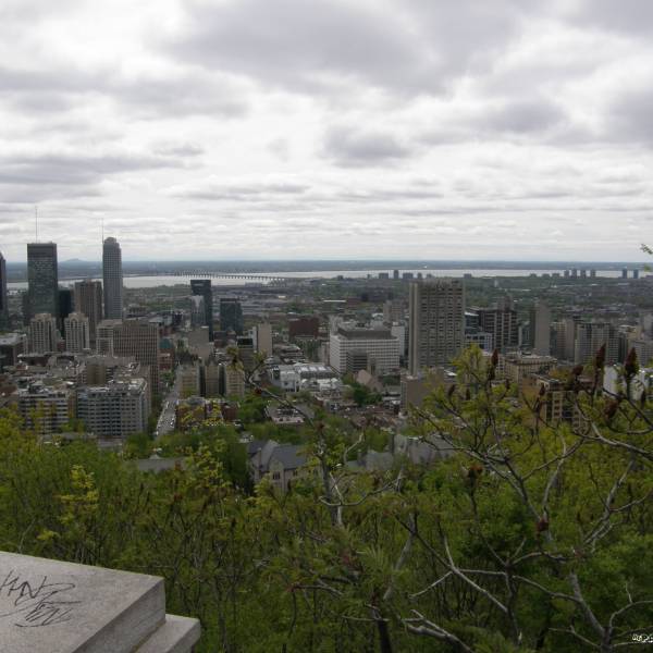 COSTA EST - La città di Montreal
